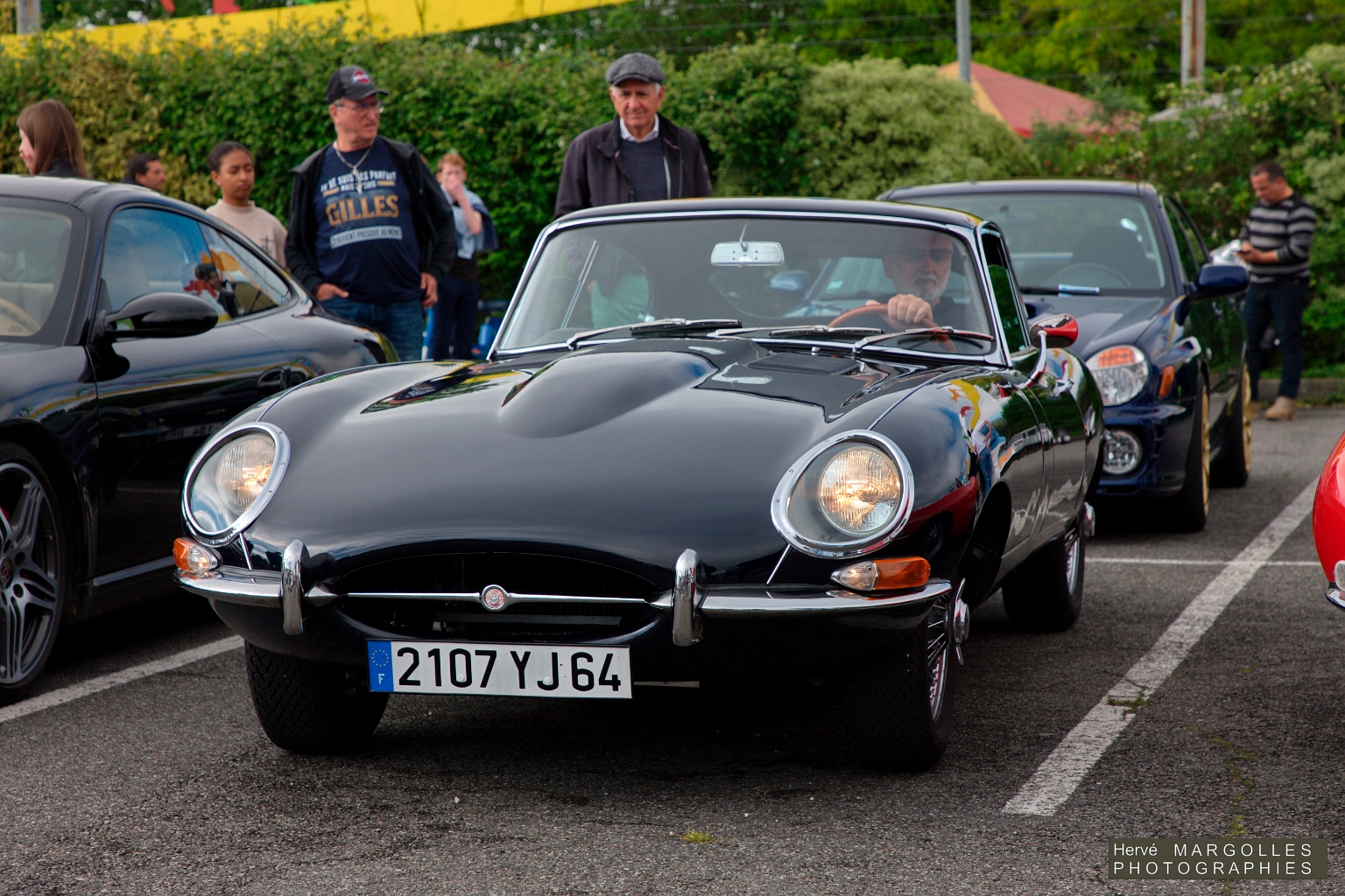 Jaguar Type E_02.jpg